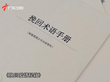 广东卫视对破镜重圆公司《挽回术语手册》的报道小图