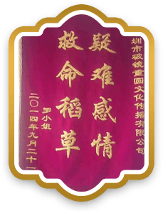 破镜重圆公司客户赠送锦旗